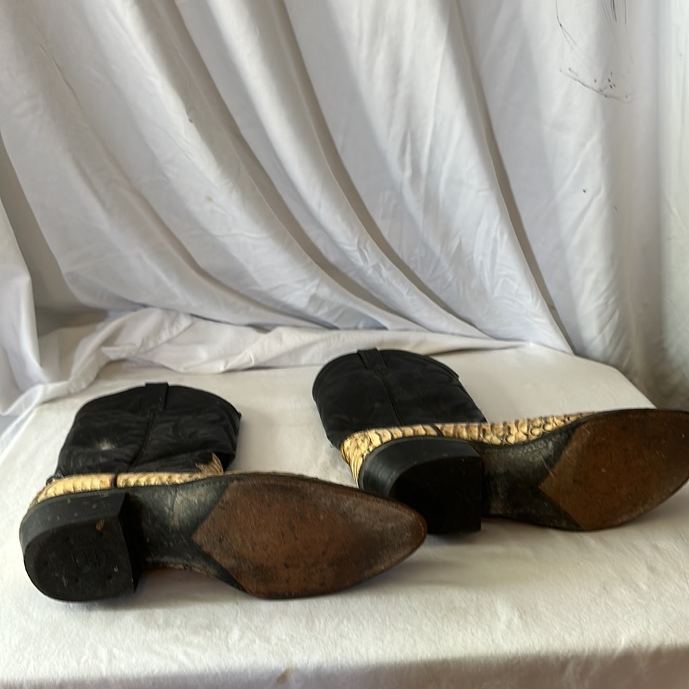 Dan Post Python Boots - image 3